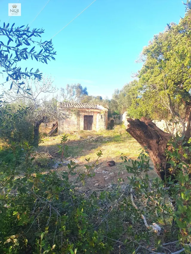 FINCA RÚSTICA EN MURO CON CASETA DE 28 M2