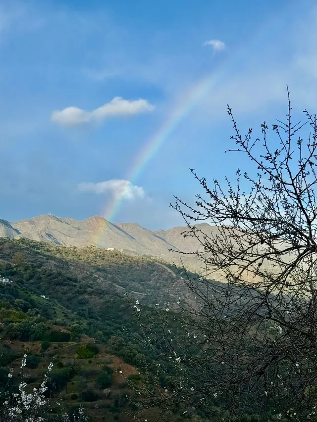 Finca rústica en zona alta de Marbella con vistas y servicios — 10