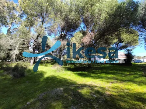 Venta de suelo urbano residencial en Cerro Muriano (Córdoba)