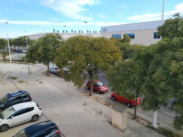 POLIGONO ELCHE PARQUE INDUSTRIAL — 13