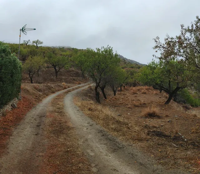 VENTA EN SIERRO ( ALMERÍA ) DE TERRENO PARA CAZA. — 7