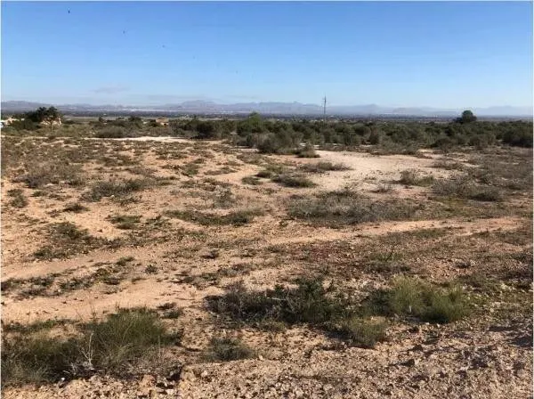 Venta de terreno- La Marian- Elche - foto 2