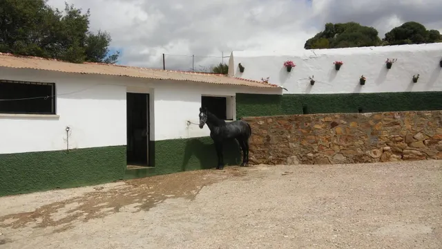 Impresionante finca edificable cerca de Málaga — 6