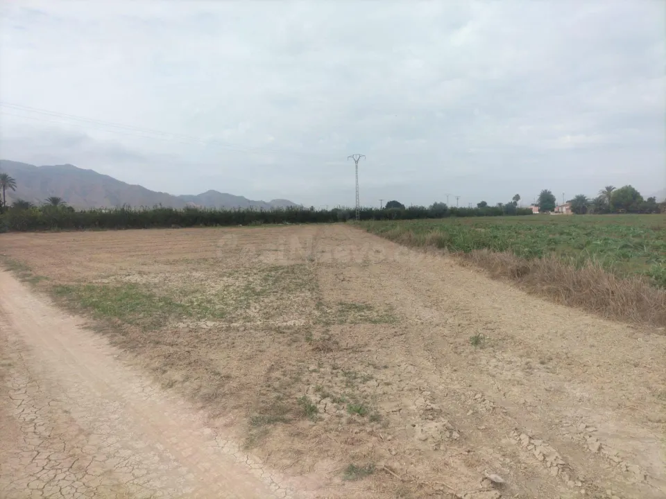 FINCA RÚSTICA EN COX