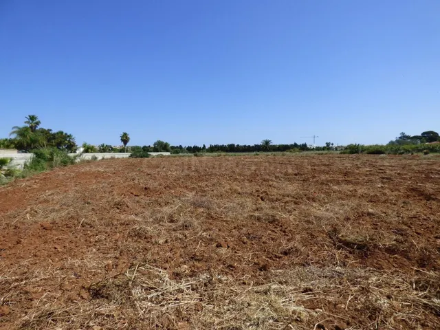 Terreno rural en venta - La Pedrera-Vessanes