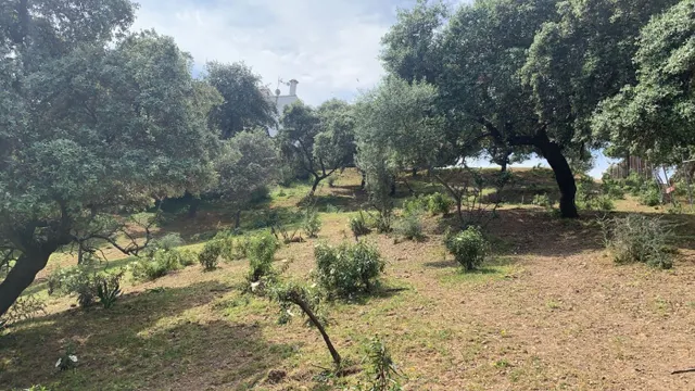 Terreno urbano en venta - Calasancio — 12