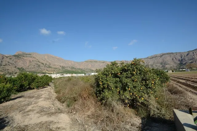 ¡¡ GRAN OPORTUNIDAD !! Parcela rústica de 5600 m2. de superficie en el Raiguero de Bonanza — 3