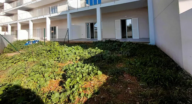 ¿Buscas una planta baja adaptada, de obra nueva, con jardín 