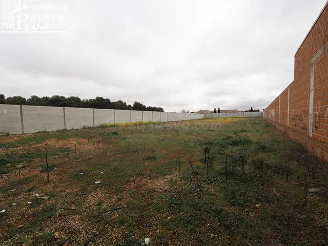 Se vende solar en Tomelloso con 3250m2 de superficie y 25 de - foto 2