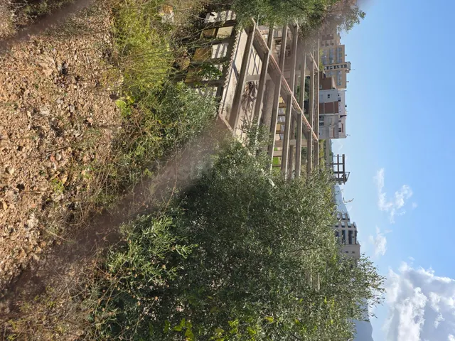 PARCELA DE 2.000 m2 CON EDIFICACIÓN DE 900 m2 — 5