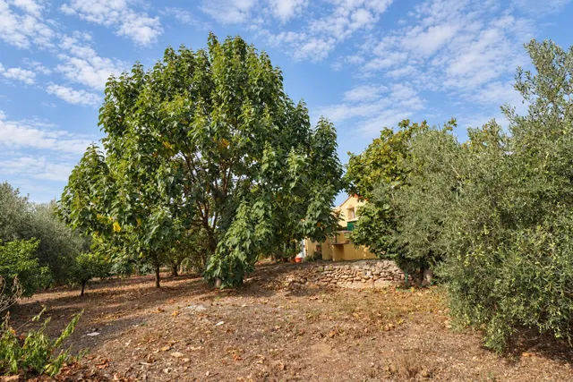 Prat en Las Casas de Alcanar — 17