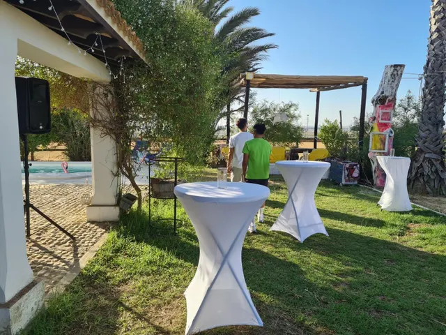 Espectacular finca de 19.000 m2 con 2 casas en Moguer (Huelva) — 12