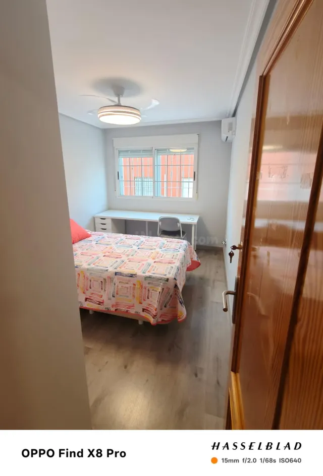 Chalet Estudiantes en La Ñora - ¡Solo Chicas! — 23