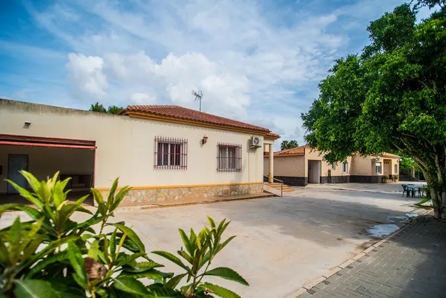 Villa 7 habitaciones 505m² en venta - Montepinar-La Aparecida-Raiguero — 50