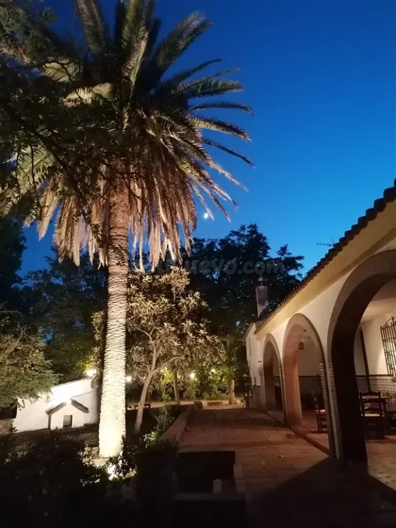 Casa de campo-Masía en Venta en Ronda Málaga - foto 5