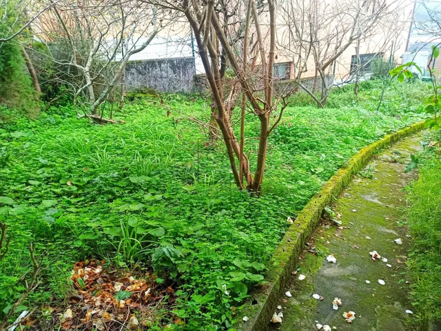 Casa con finca edificable en Canido-Ferrol - foto 2