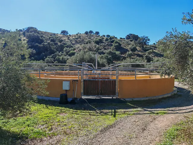 Finca rústica 4 habitaciones 360m² en venta - South of spain — 5