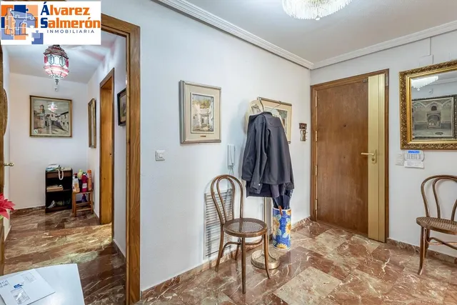 Pisazo en paseo del salón - Granada — 38
