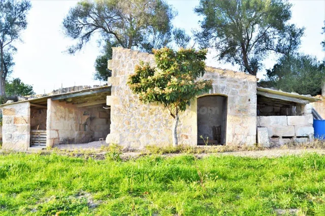 Finca rústica en venta con posibilidad de vivienda en Muro - foto 2