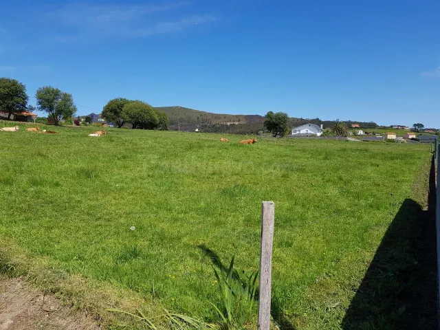 SE VENDE FINCA RÚSTICA EN CAMPELO, VALDOVIÑO - foto 3