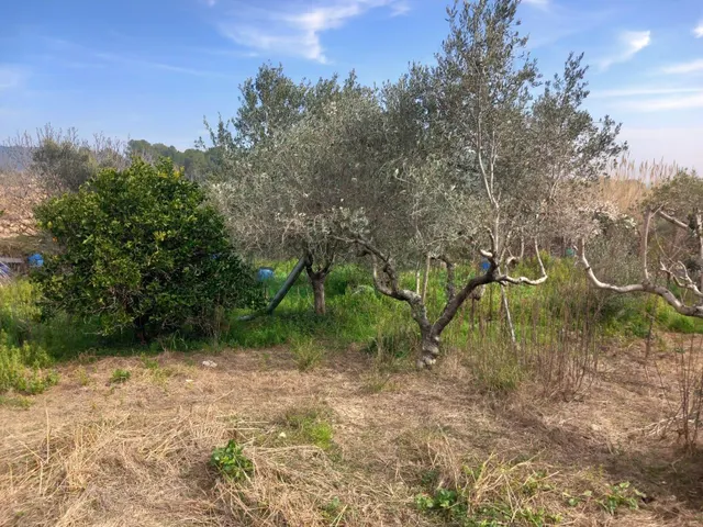 Casa 4 vientos en gran parcela con vistas a viñedos (1.040 m2) — 27