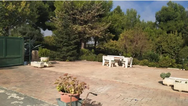 parcela 4,5 km de albacete — 24