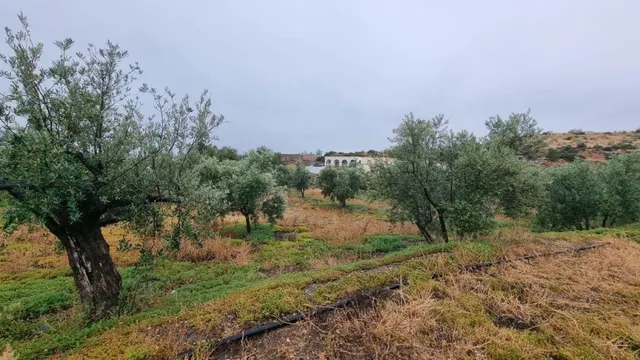 Casa rural en Tabernas (almeria) — 24