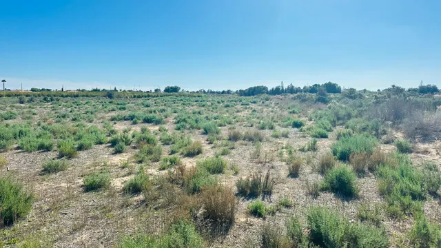 Terreno de 12.000 m2 en Perleta. — 22