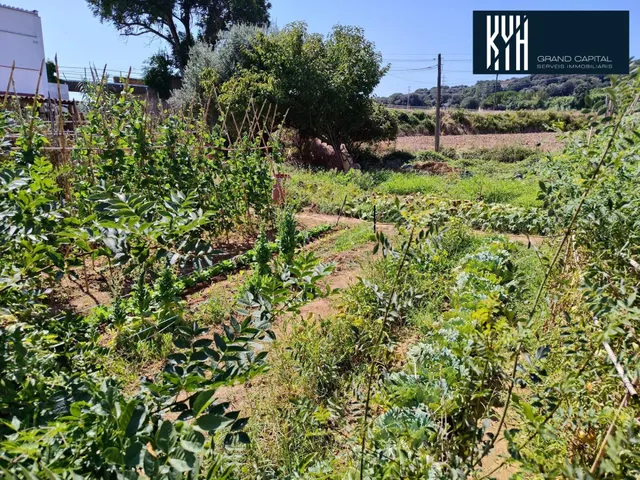 PROYECTO EN MONTFULLÀ — 12