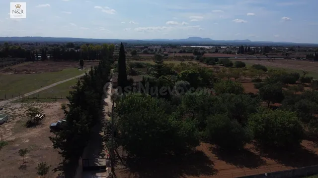 FINCA EN INCA CON CASA DE 200 M2, LUZ Y AGUA - foto 5