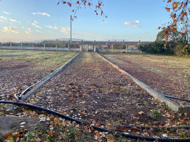 Casa palacio con parcela de 4500 m2 en Peralta — 15