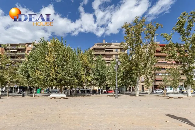 Pisazo en paseo del salón - Granada — 46