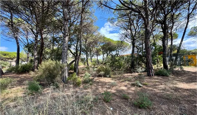 PRECIOSA PARCELA PARA CONSTRUIR LA CASA DE TUS SUEÑOS!!! - foto 4