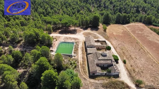 EN VENTA FINCA DE VIÑEDOS EN COFRENTES DE 209 HECTAREAS - foto 3