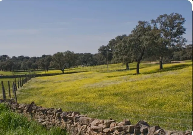Terreno rural en venta - Pueblo