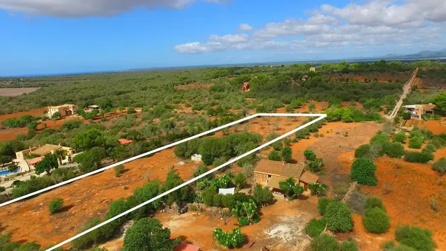Finca rústica con proyecto en trámite en Ses Salines – zona  - foto 3