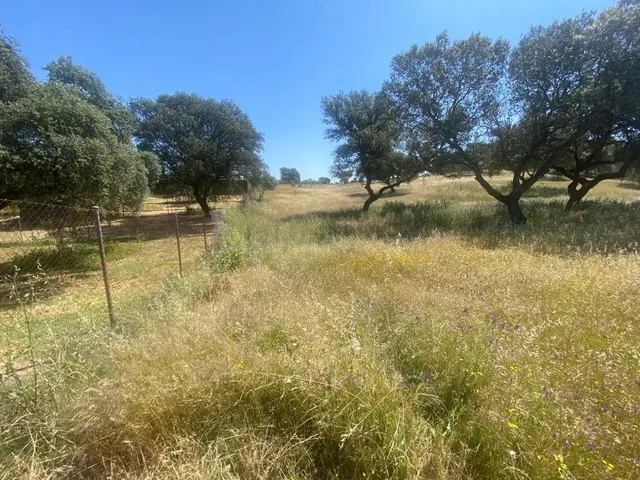 VENTA PARCELA CAMPOMANES - foto 2
