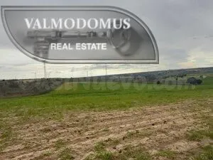 Finca rústica de 36.000 m2 con acceso directo – Villaviciosa - foto 4