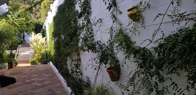 Adosado 2 habitaciones 96m² en venta - Marbella — 33