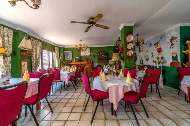 Oportunidad de negocio/inversión Restaurante PINOCCHIO piscina y gran parcela — 41