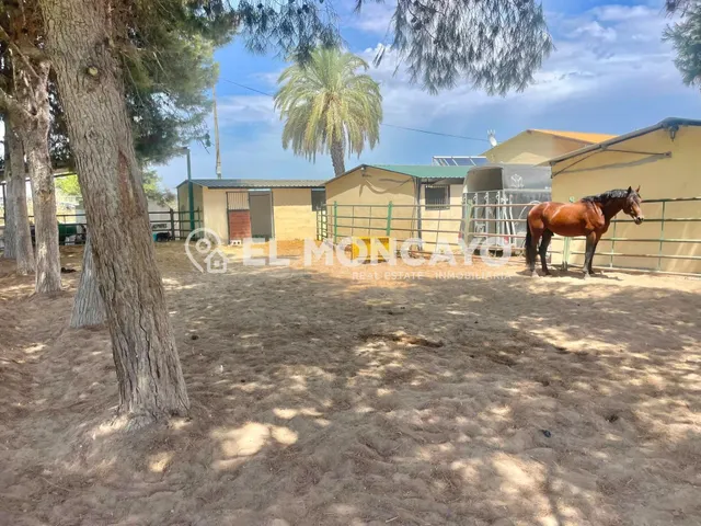 Fantástica finca rústica con piscina privada e instalaciones para caballos junto al Parc Natural del Fond en Dolores, Alicante — 36
