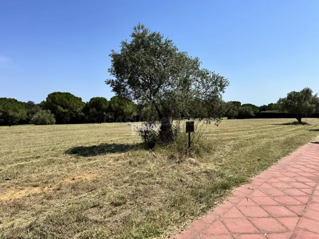 Peralada Golf | Exclusiva parcela de 2.512 m2 en primera lín - foto 2