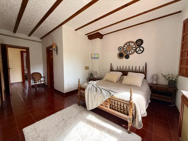 FINCA EXCLUSIVA CON GRAN POTENCIAL EN ELDA — 50