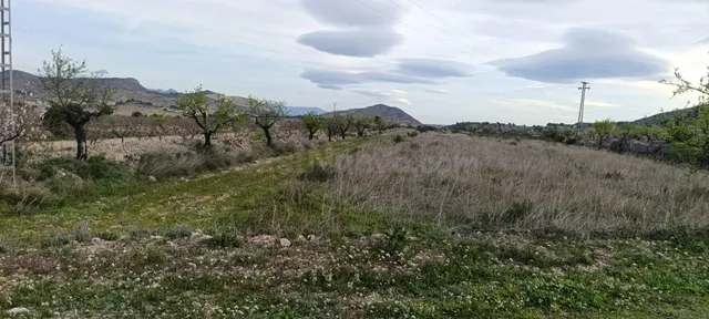 Terreno Rústico en Hondon de las Nieves - Zona BAYON - foto 2