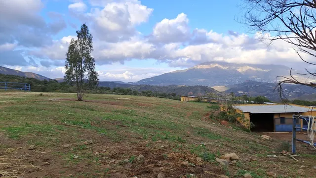 Piso 8 habitaciones 2650m² en venta - Riviera del sol — 25