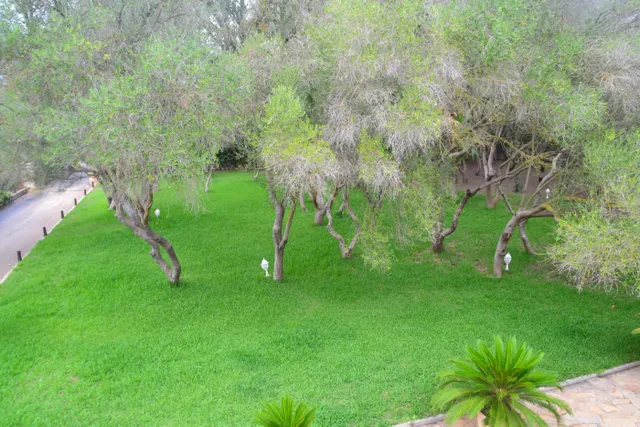 Finca rústica — 17