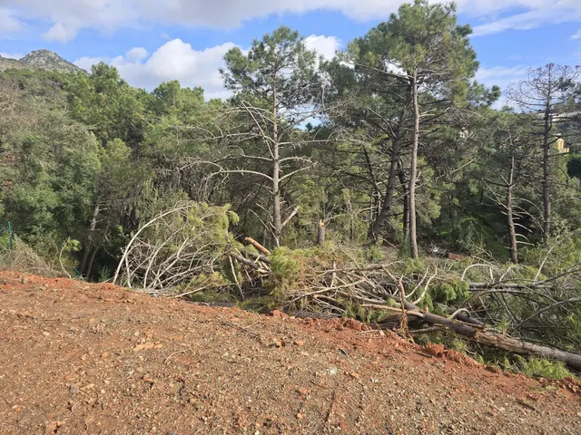 Parcela 650m² en venta - Costa del Sol — 15