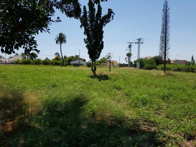 ESTUPENDA PARCELA  DE 1800M EN ZONA DE LOS RAMOS/TORREAGUERA — 4