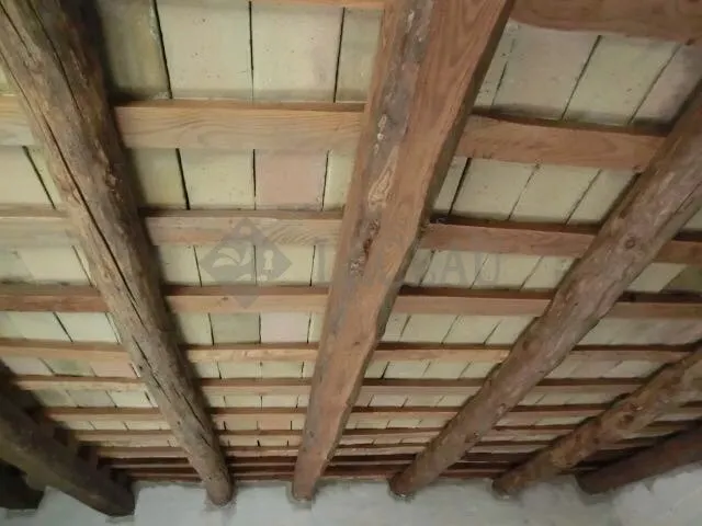 Finca rústica con dos casas a cinco minutos de Sitges. — 18