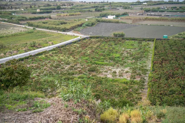 Finca con unas vistas de ensueño en Salobreña — 20